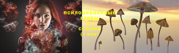 mdpv Новодвинск