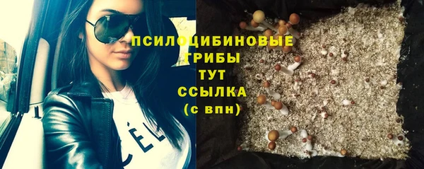гидра Нея