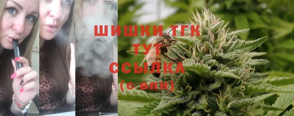jwh Новозыбков