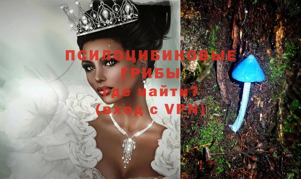 гидра Нея