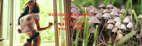 jwh Новозыбков
